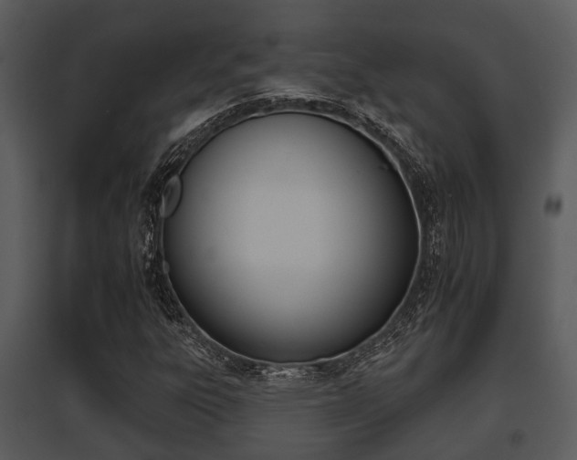 X0000095671303200801081029