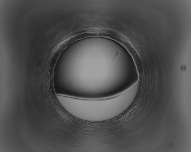 X0000095671304200801081029