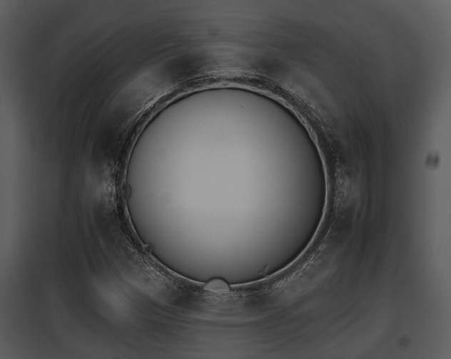 X0000095671305200801081029