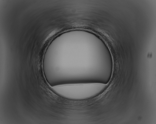 X0000095671306200801081029