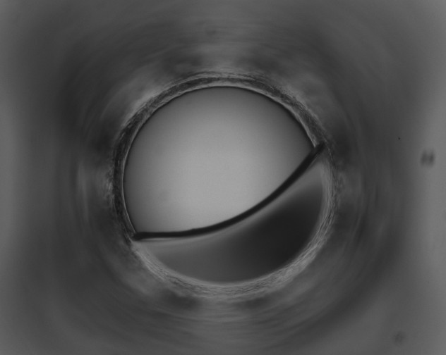 X0000095671307200801081029