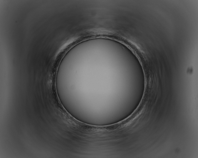 X0000095671309200801081030