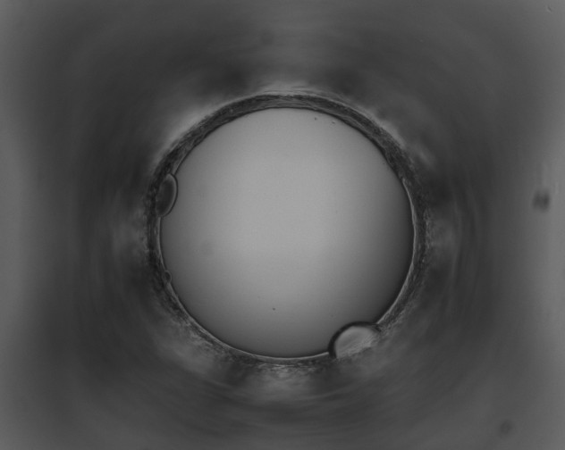 X0000095671311200801081030