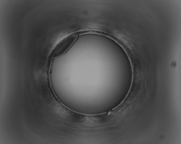 X0000095671312200801081030