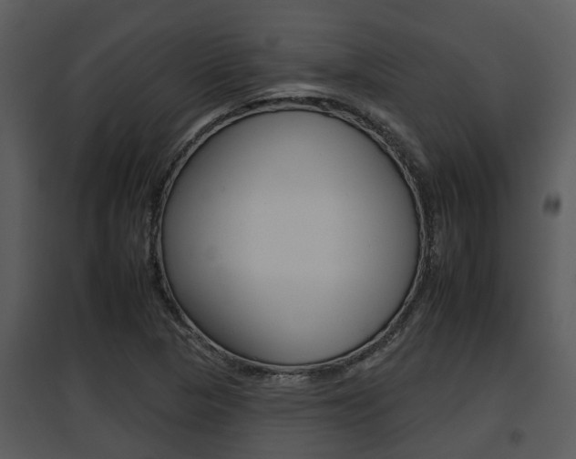 X0000095671313200801081030