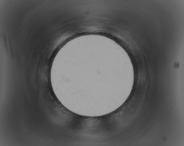 X0000095671314200801081030