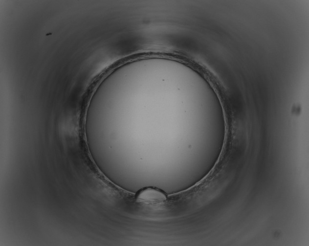 X0000095671315200801081030