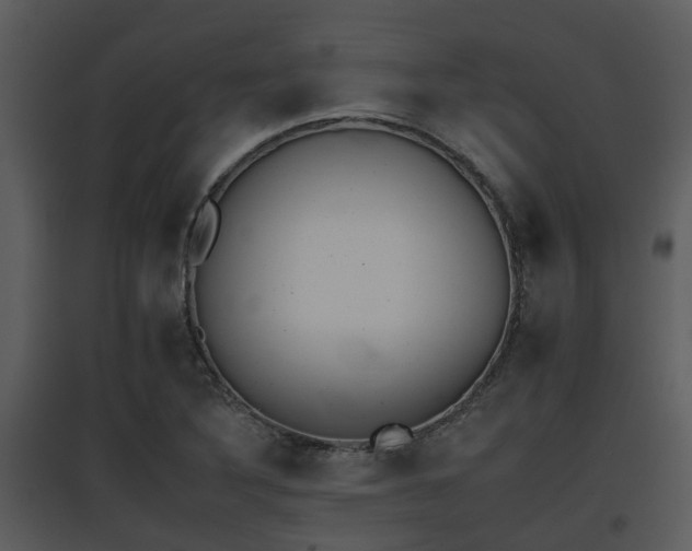 X0000095671316200801081030