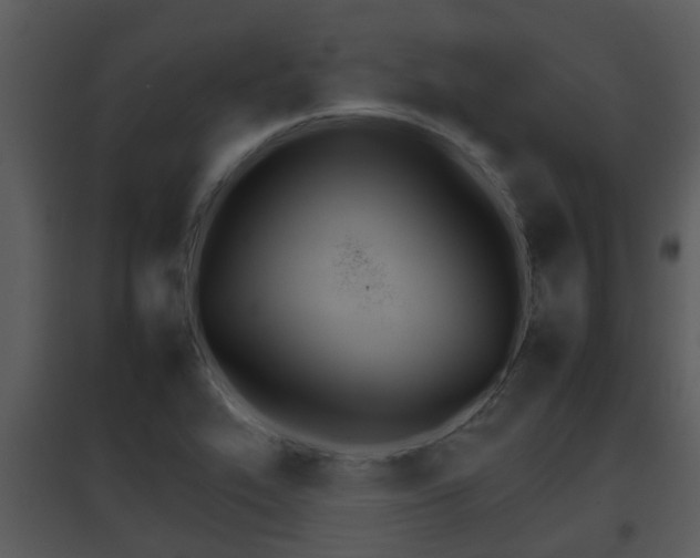 X0000095671319200801081030