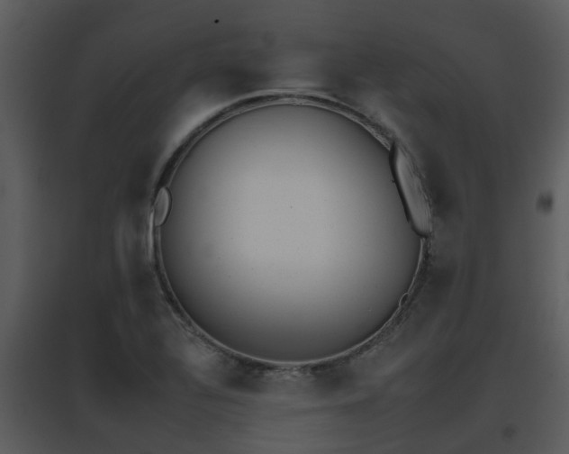 X0000095671320200801081030
