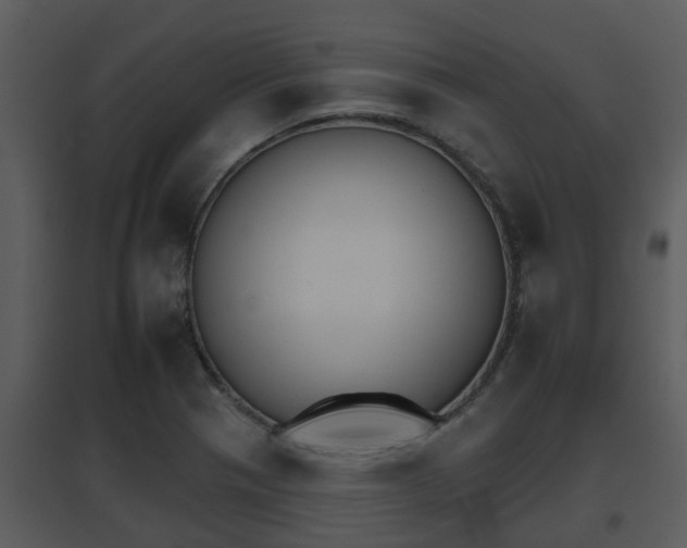 X0000095671321200801081030