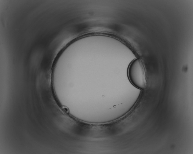 X0000095671322200801081030