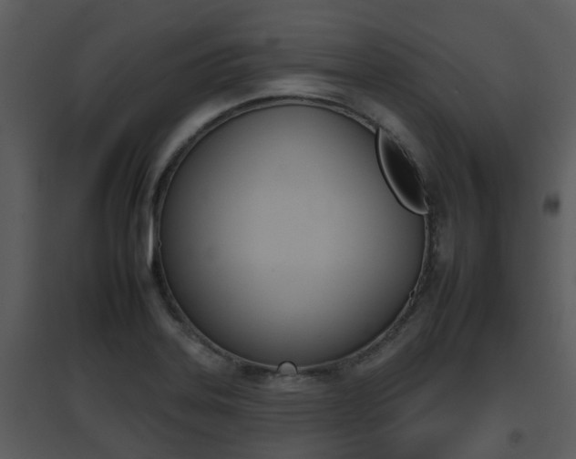 X0000095671323200801081030