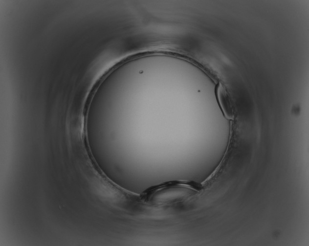 X0000095671324200801081030