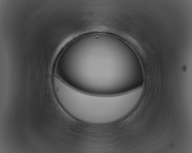 X0000095671326200801081030