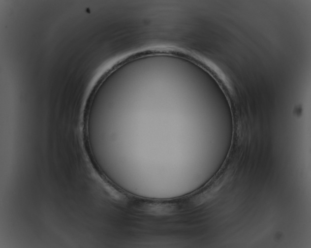 X0000095671327200801081030