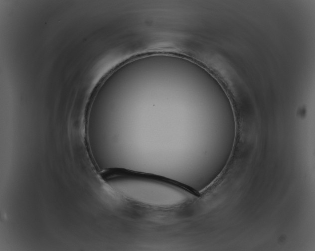 X0000095671328200801081030