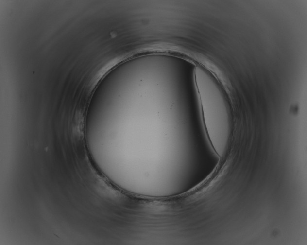 X0000095671329200801081030