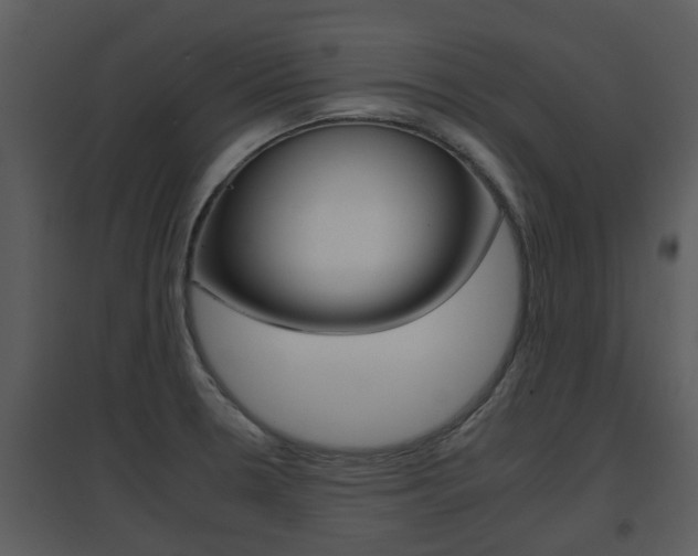 X0000095671330200801081030