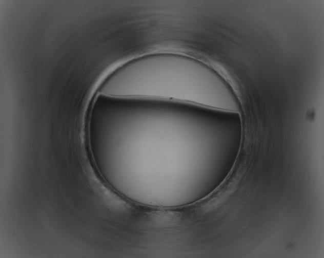 X0000095671331200801081030