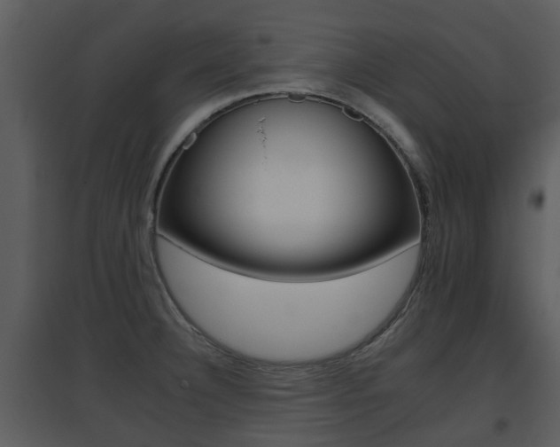 X0000095671332200801081030