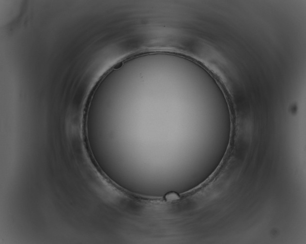 X0000095671333200801081030