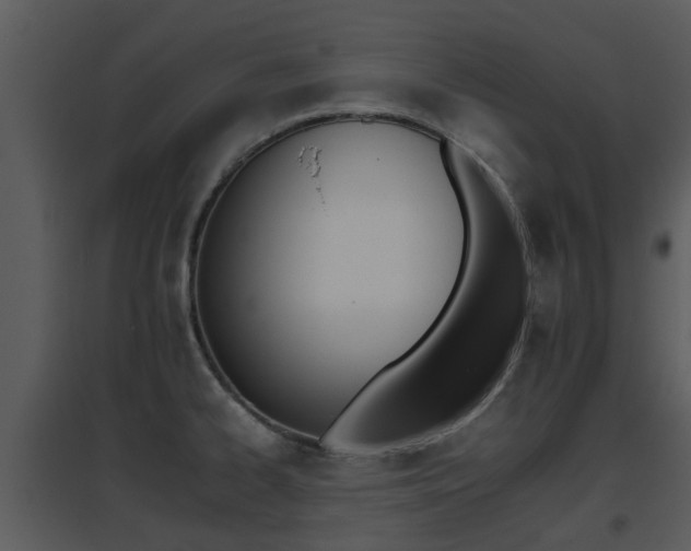 X0000095671334200801081030