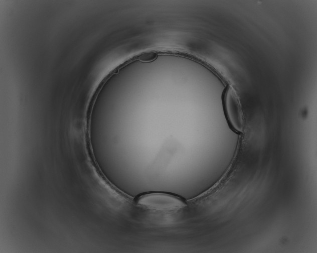 X0000095671335200801081030