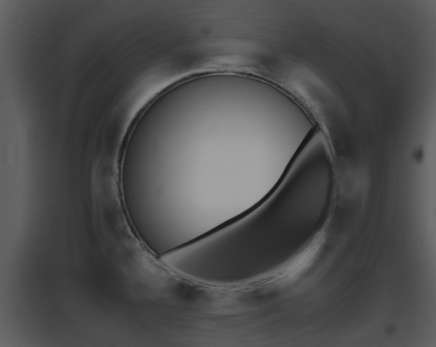 X0000095671336200801081030