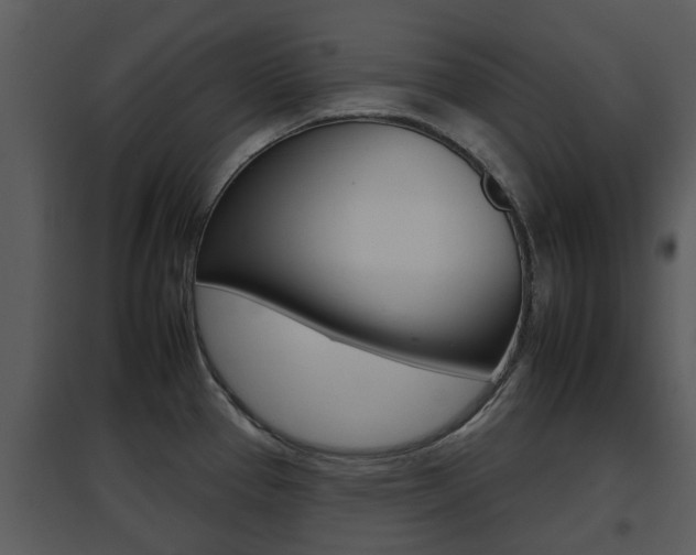 X0000095671337200801081030