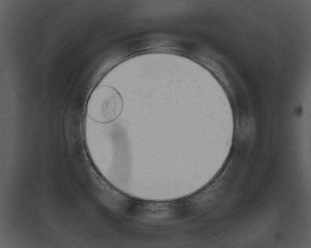 X0000095671338200801081030