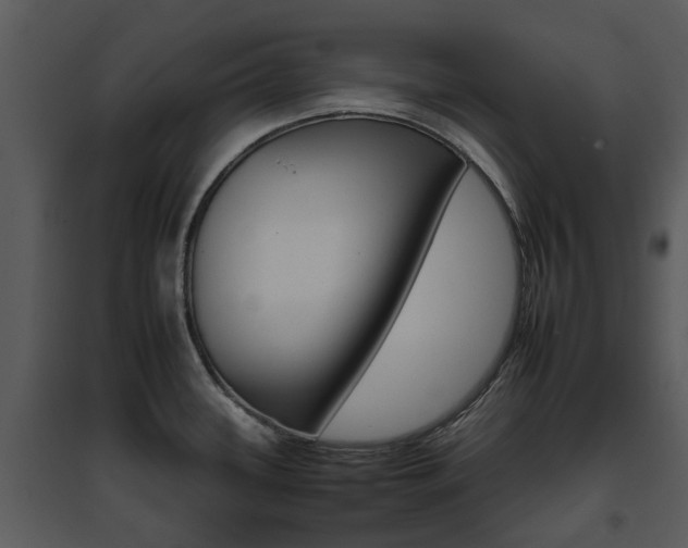 X0000095671339200801081030