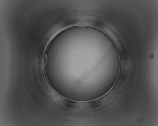 X0000095671340200801081030