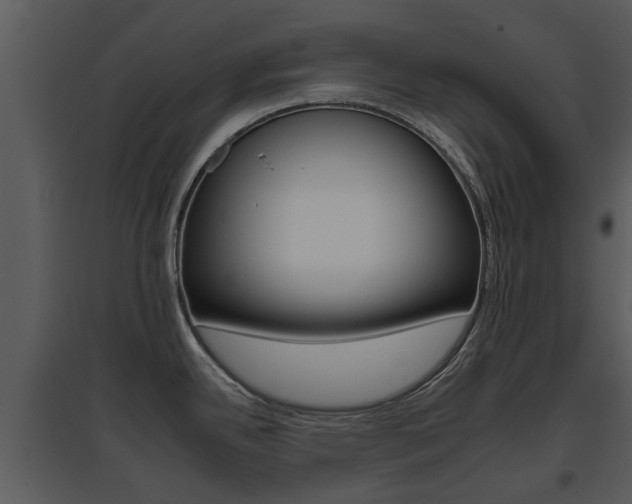 X0000095671342200801081030
