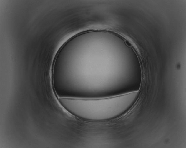 X0000095671343200801081030