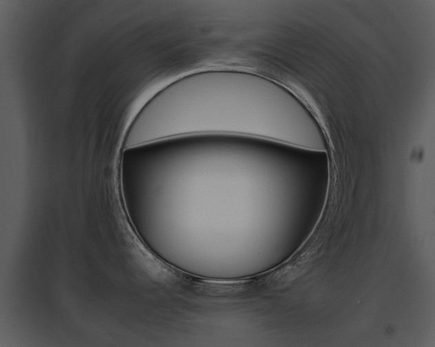 X0000095671344200801081030