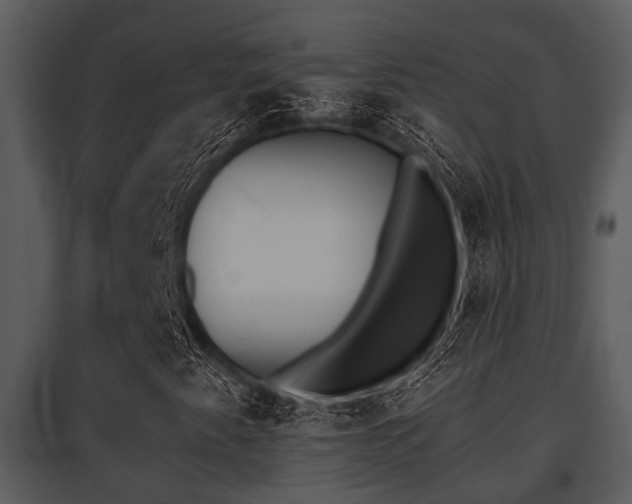 X0000095671345200801081029
