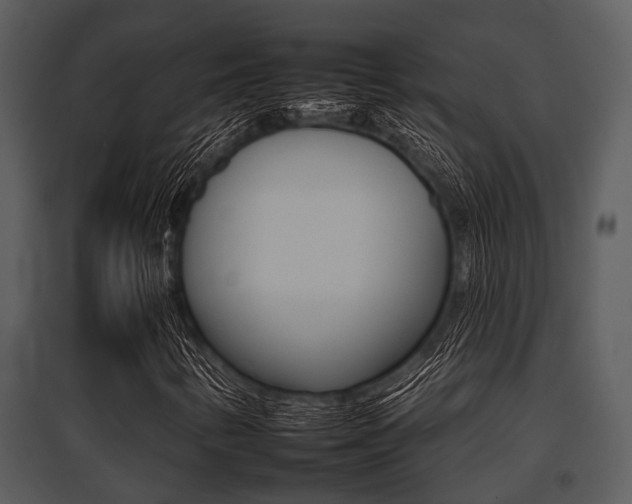 X0000095671346200801081029