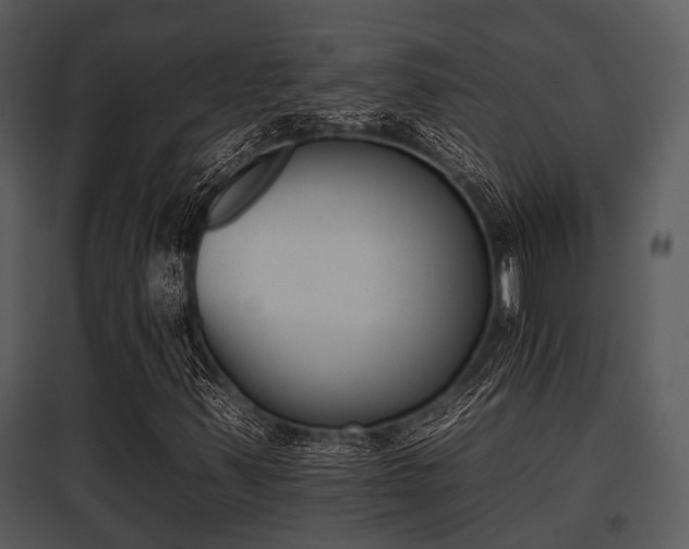 X0000095671347200801081029