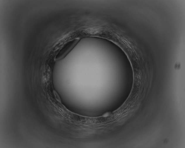 X0000095671349200801081029