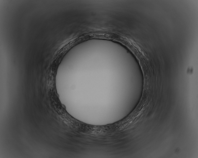 X0000095671350200801081029