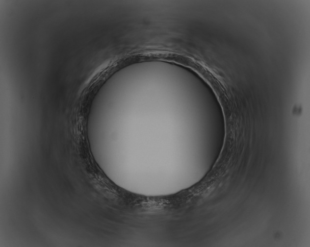 X0000095671351200801081029