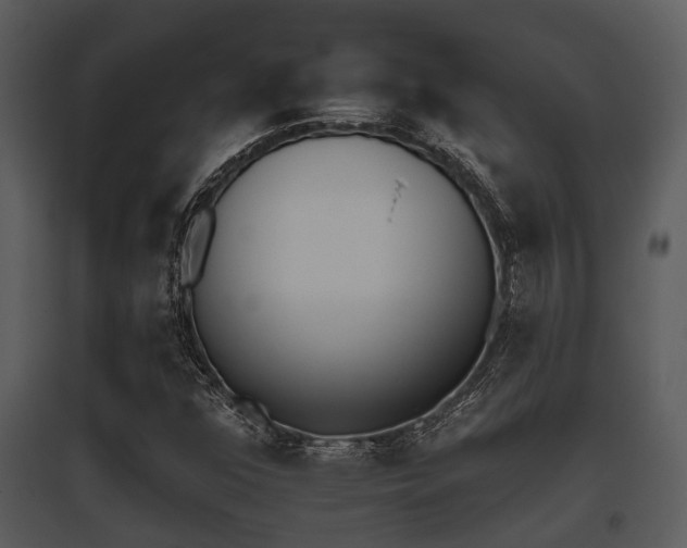 X0000095671352200801081029