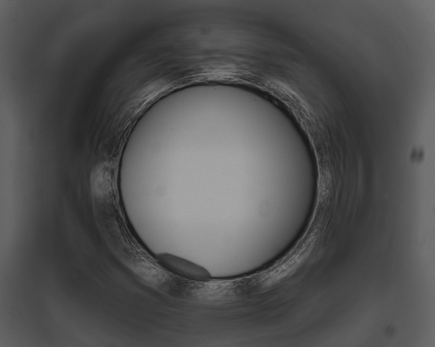 X0000095671353200801081029