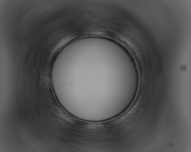 X0000095671354200801081029
