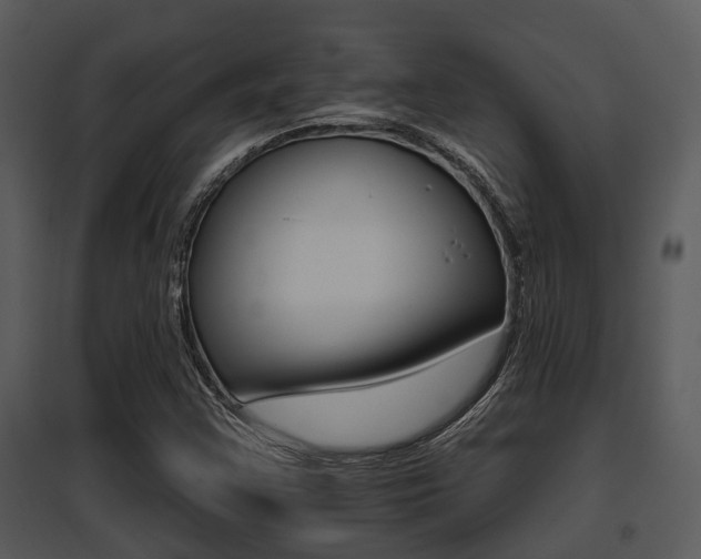 X0000095671355200801081029