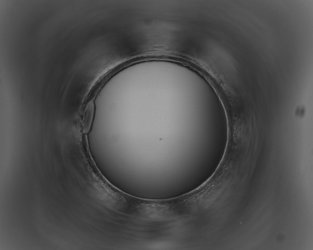 X0000095671356200801081029