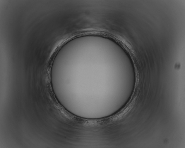 X0000095671357200801081029
