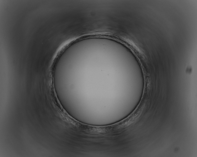 X0000095671358200801081029