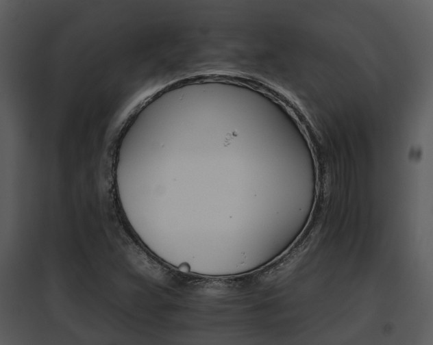 X0000095671359200801081029